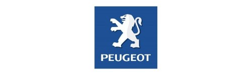 FORGE for PEUGEOT