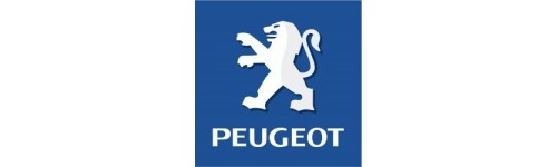 Collecteurs Peugeot