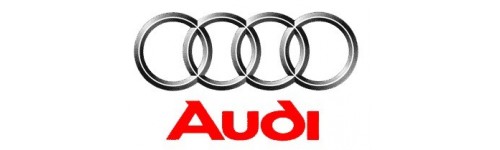 F- Collecteurs Audi